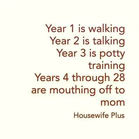 Image credit: Facebook | The True Life Of Parenting