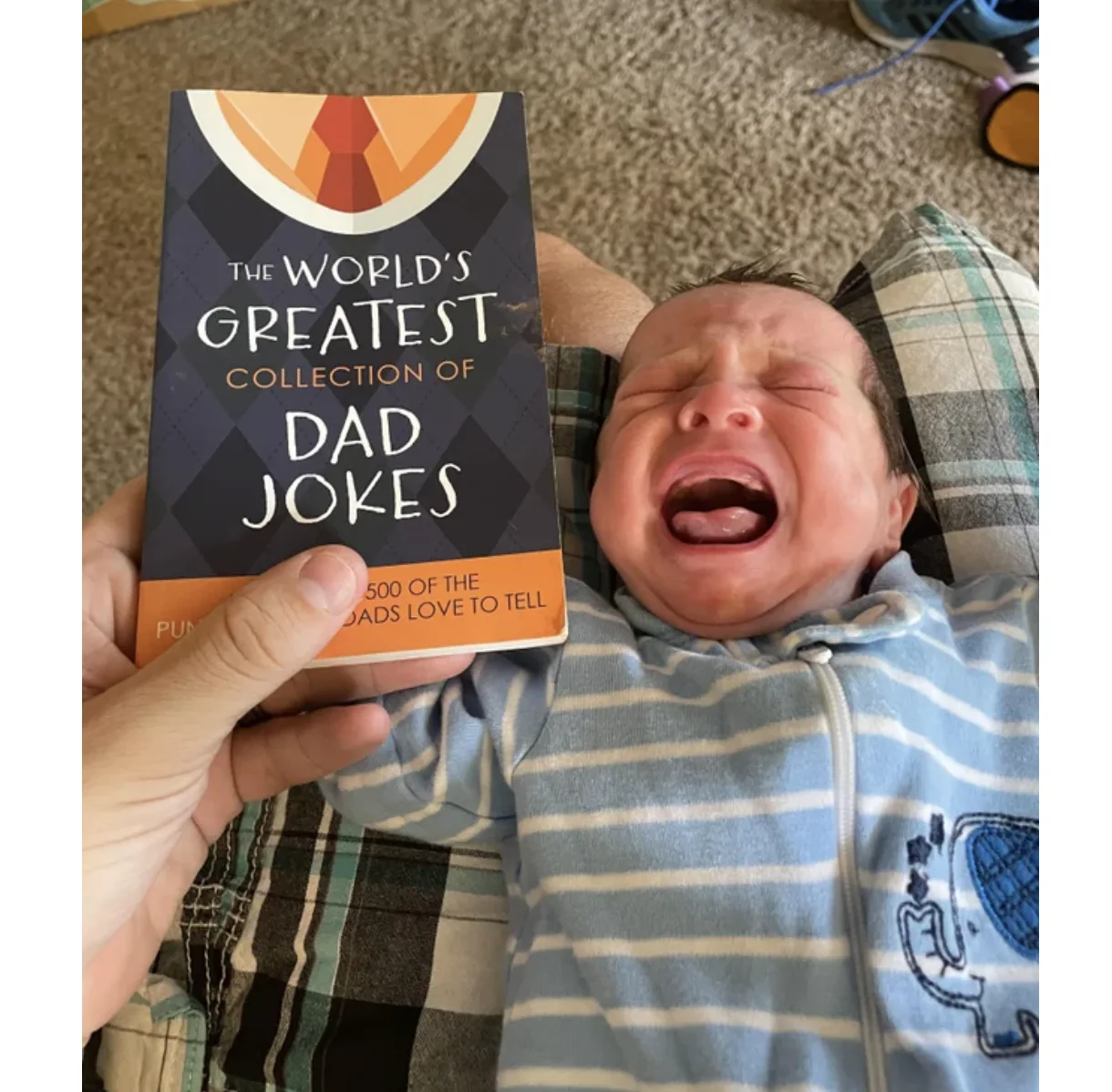 Image credit: Reddit | fraildrummer