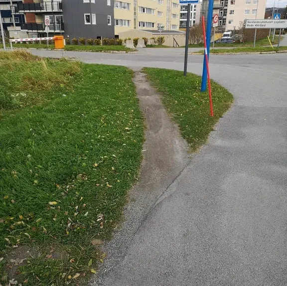 Image credit: Reddit | u/Aukrus