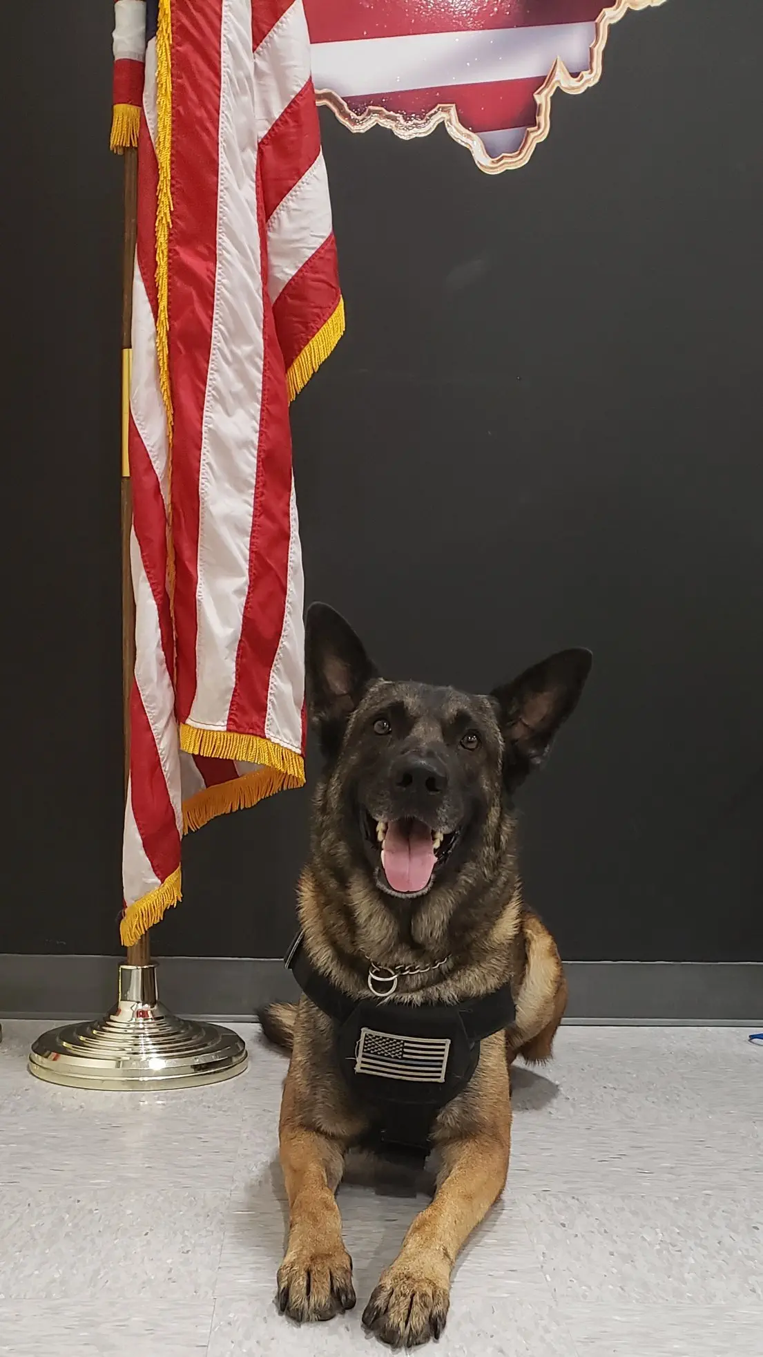 Image credit: Facebook | Shelby County Sheriff's Office