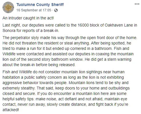Image credit: Facebook | Tuolumne County Sheriff