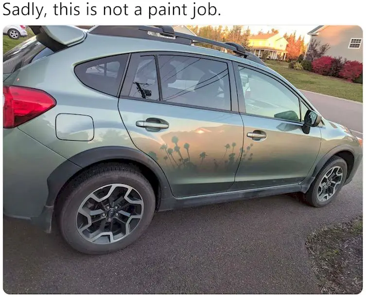 Image credit: Twitter | @scixpmas