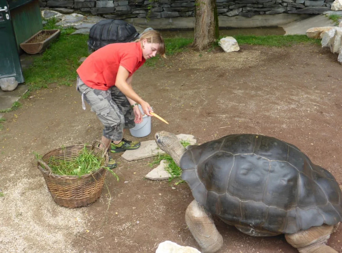 Image credit: TripAdvisor | GSA1200MotoTraveller