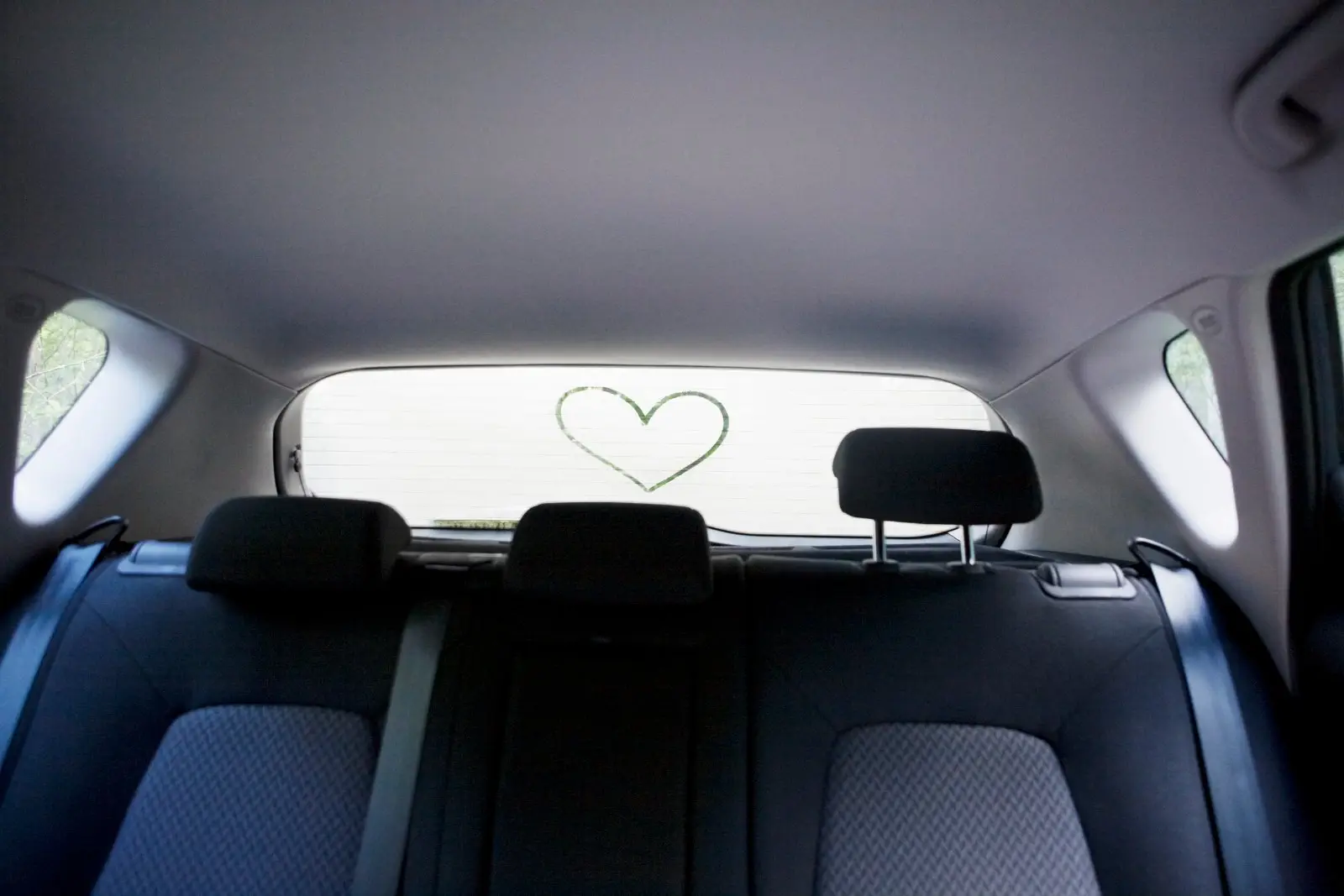 Image credit: Gettyimages | Karin Smeds/Folio Images