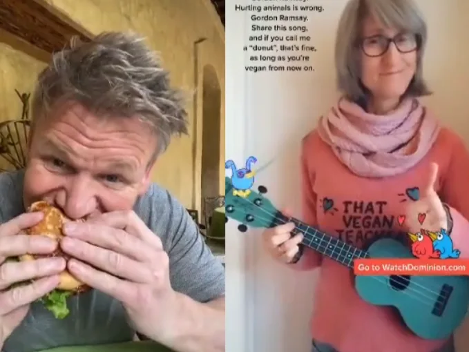 Image credit: TikTok | @gordonramsayofficial