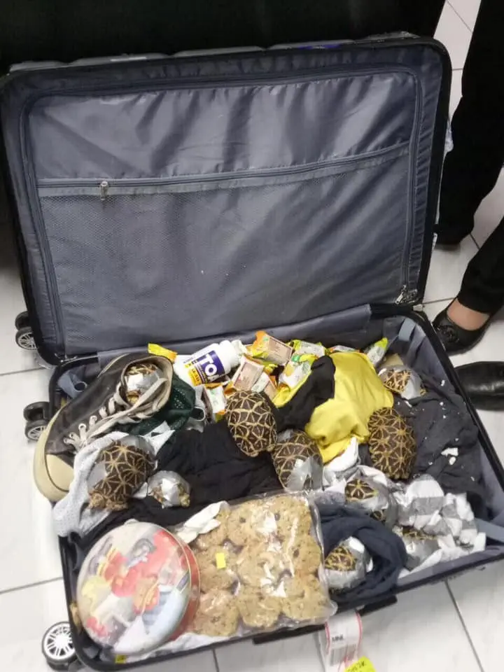 Image credit: Facebook | Bureau of Customs NAIA