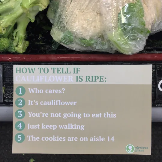 Image credit: Reddit | obviousplant