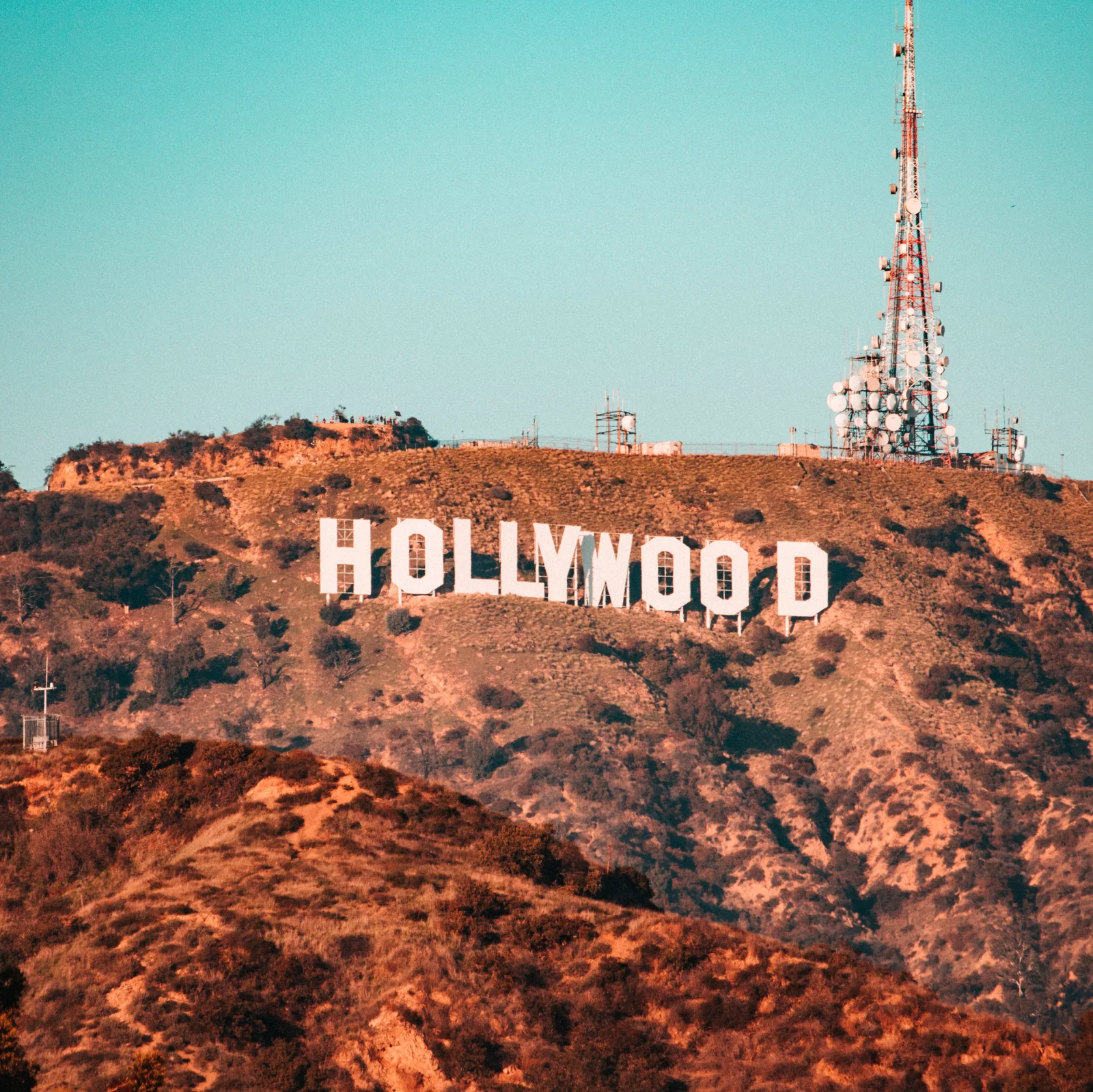 Image credit: Unsplash | Vincentas Liskauskas