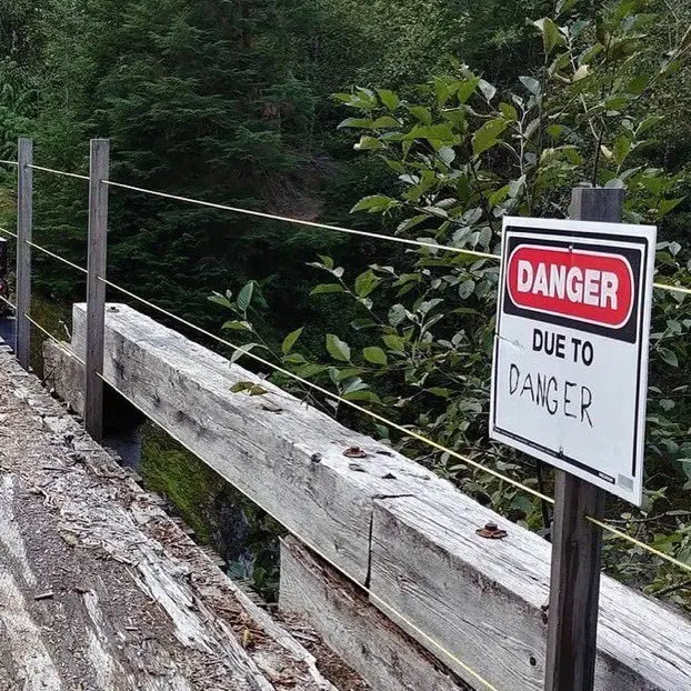 Image credit: Reddit | therlwl