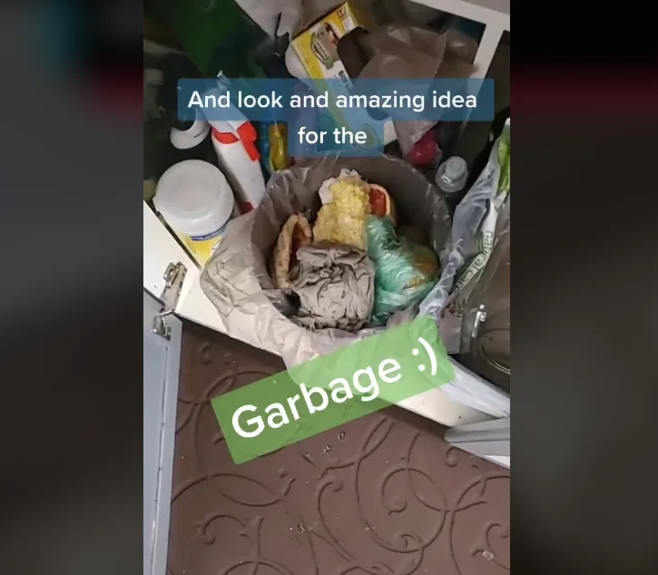 Image credit: TikTok | @growwithlove