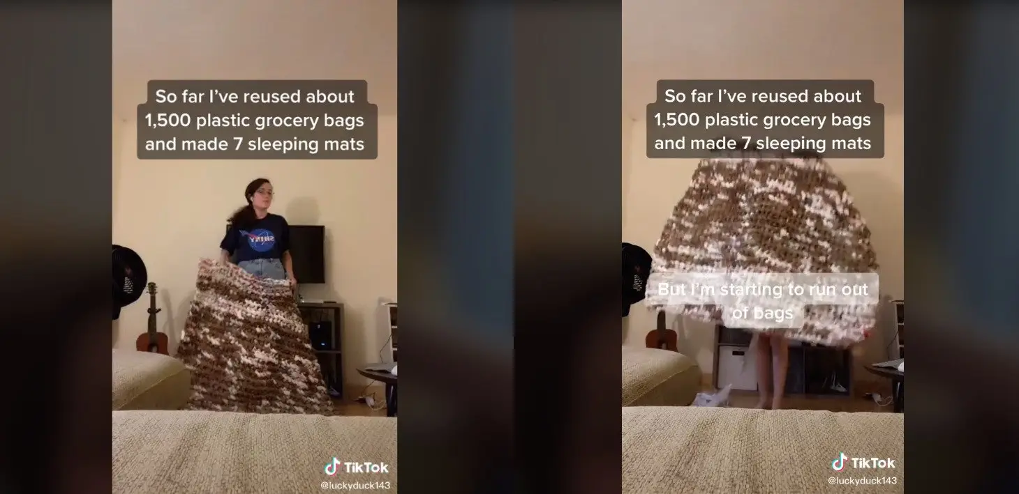 Image credit: TikTok | @luckyduck143