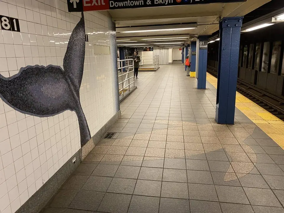 Image credit: Reddit | DooWahDiddyDoo