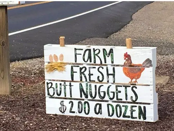 Image credit: Imgur | bizurk2326