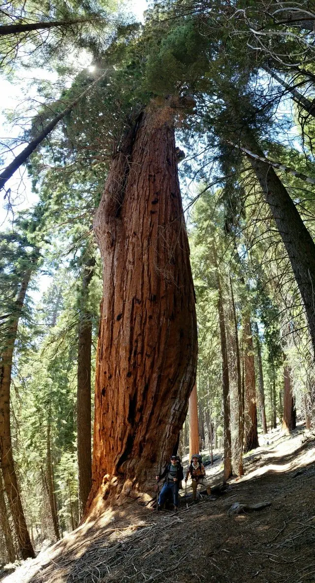 Image credit: Reddit | 1TSDELUXESON