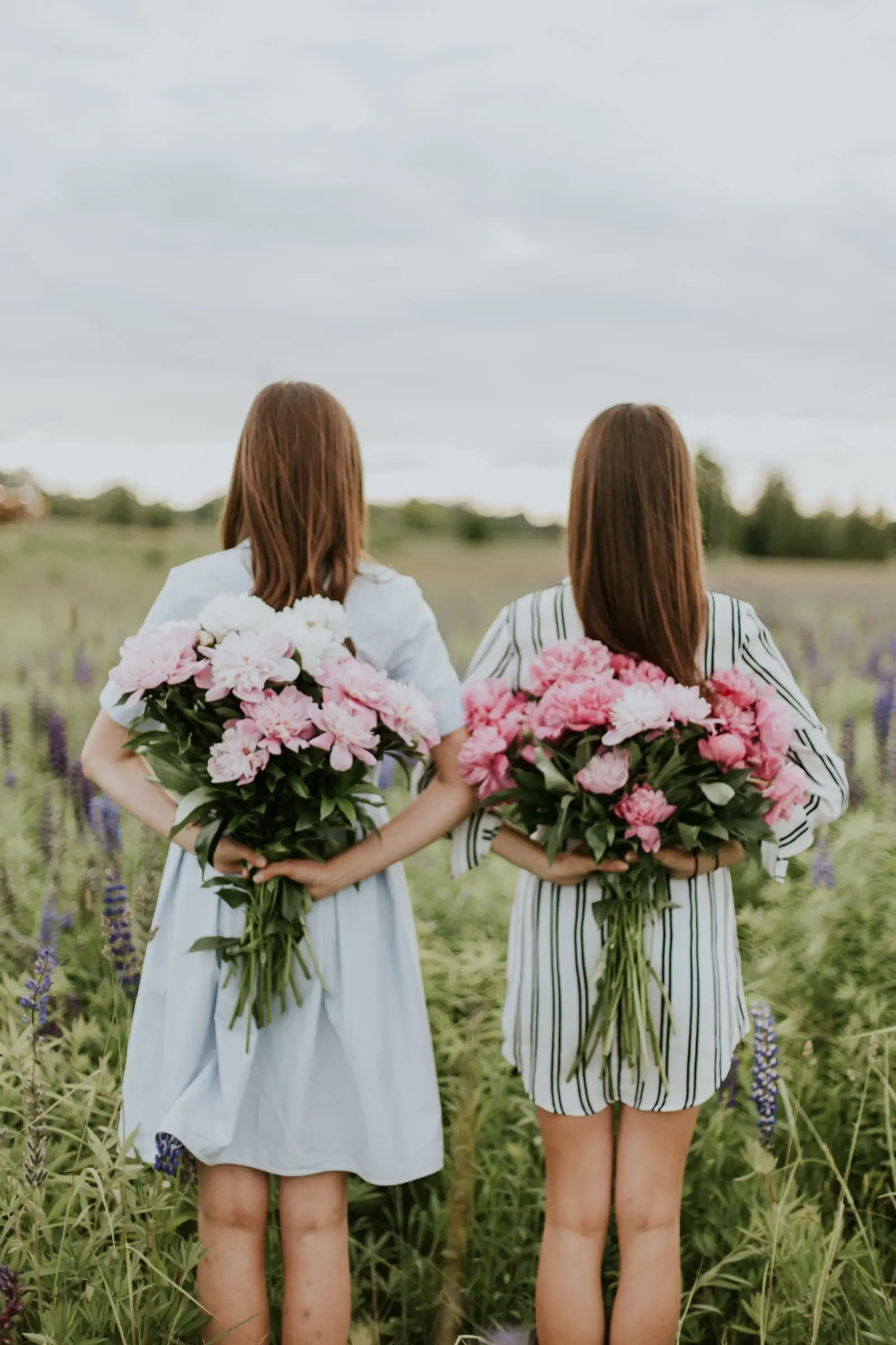 Image credit: Unsplash | Daiga Ellaby