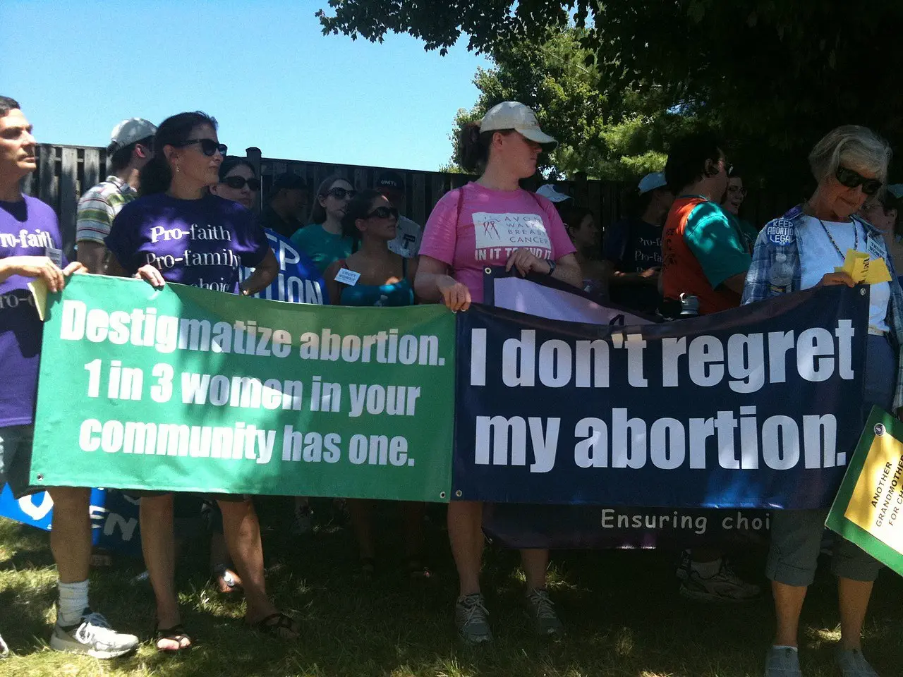 Image credit: Wikimedia Commons | Debra Sweet