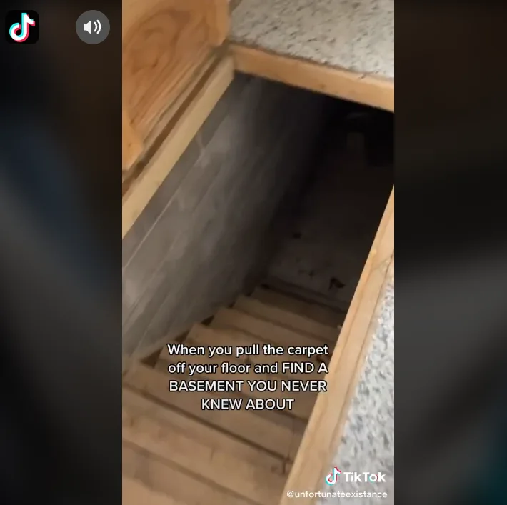 Image credit: TikTok | @unfortunateexistance