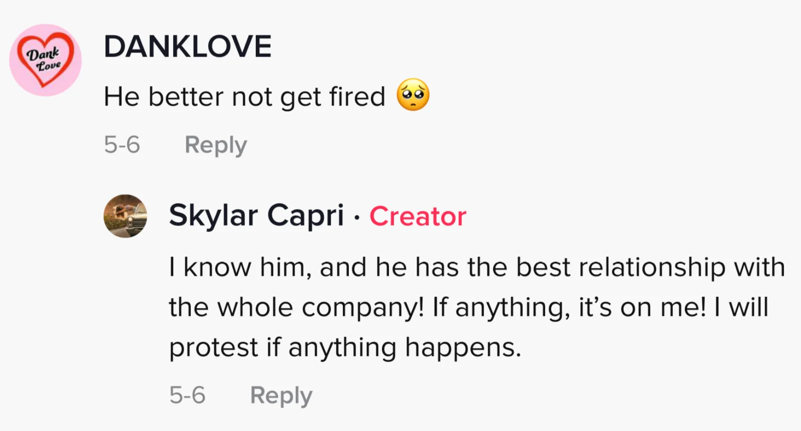 Image credit: TikTok | @skylarcapri