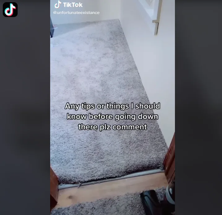 Image credit: TikTok | @unfortunateexistance