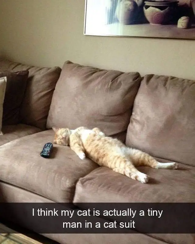 Image credit: Reddit | jakedaily