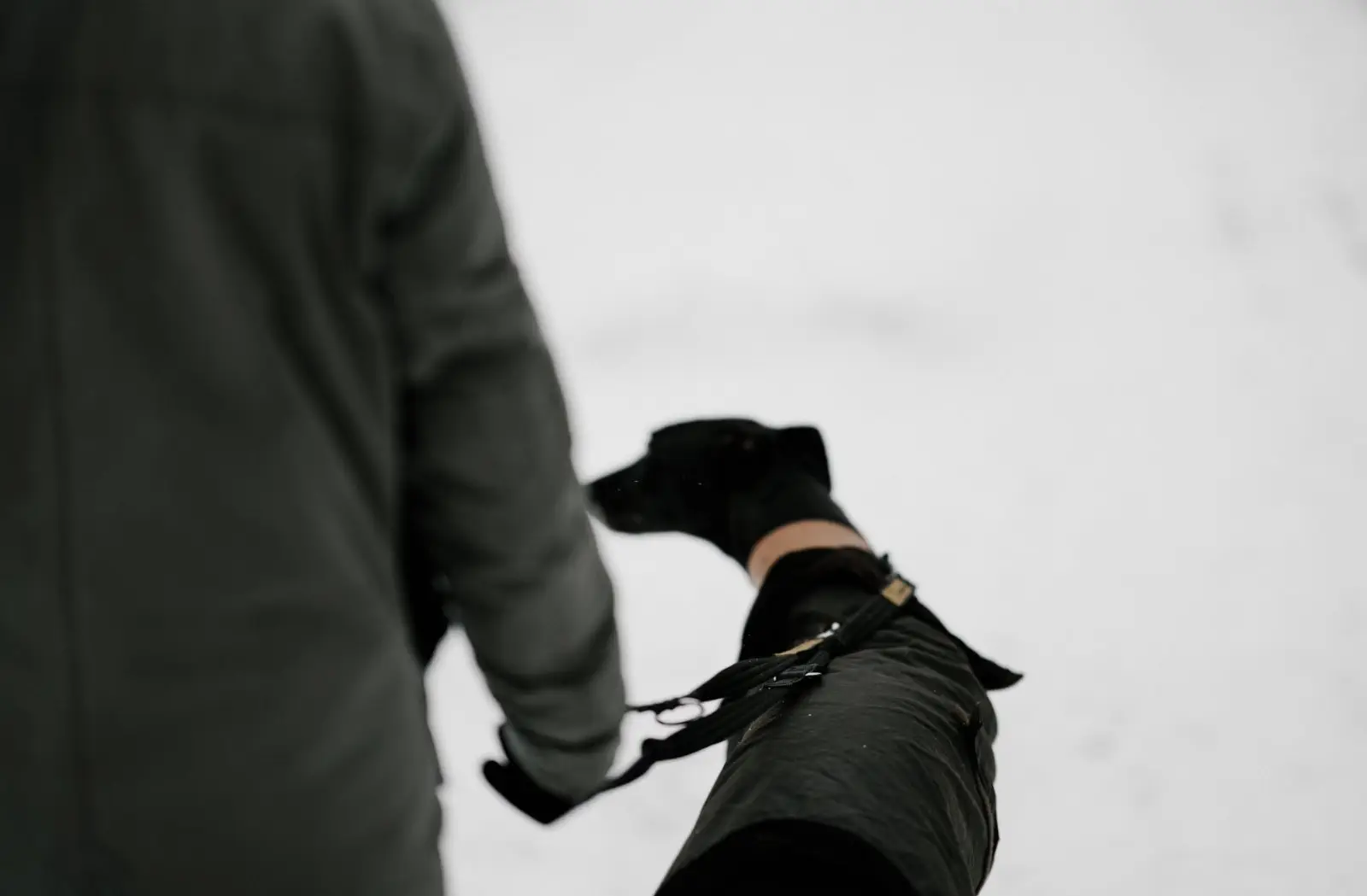 Image credit: Unsplash | Annie Spratt