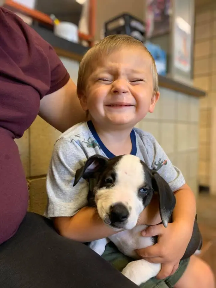 Image credit: Facebook | Jackson County Animal Shelter - Michigan