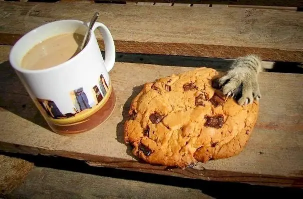 Image credit: Reddit | TeaGossips