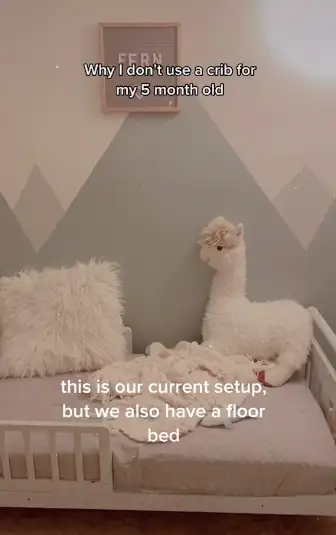 Image credit: TikTok l @comingupfern