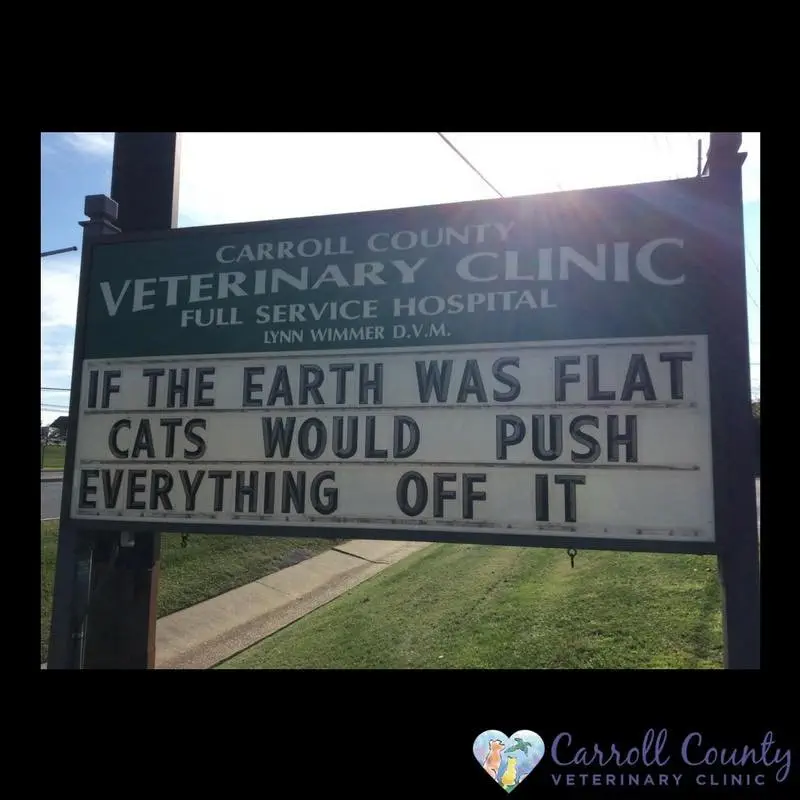 Image credit: Facebook | Carroll County Veterinary Clinic