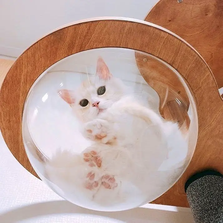 Image credit: Reddit | eyesarered