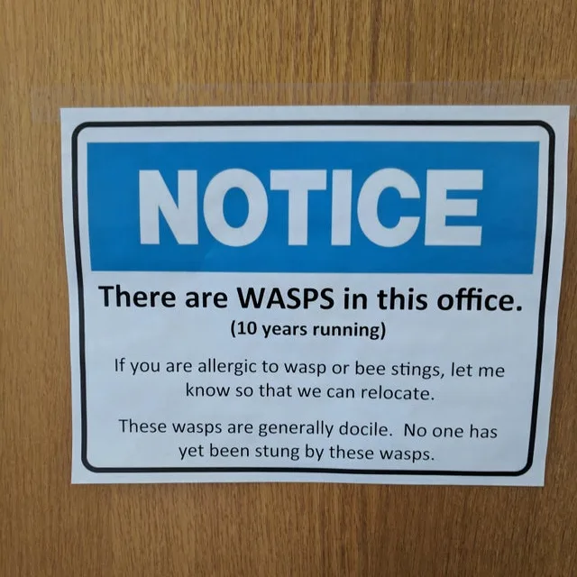Image credit: Reddit | msw201089