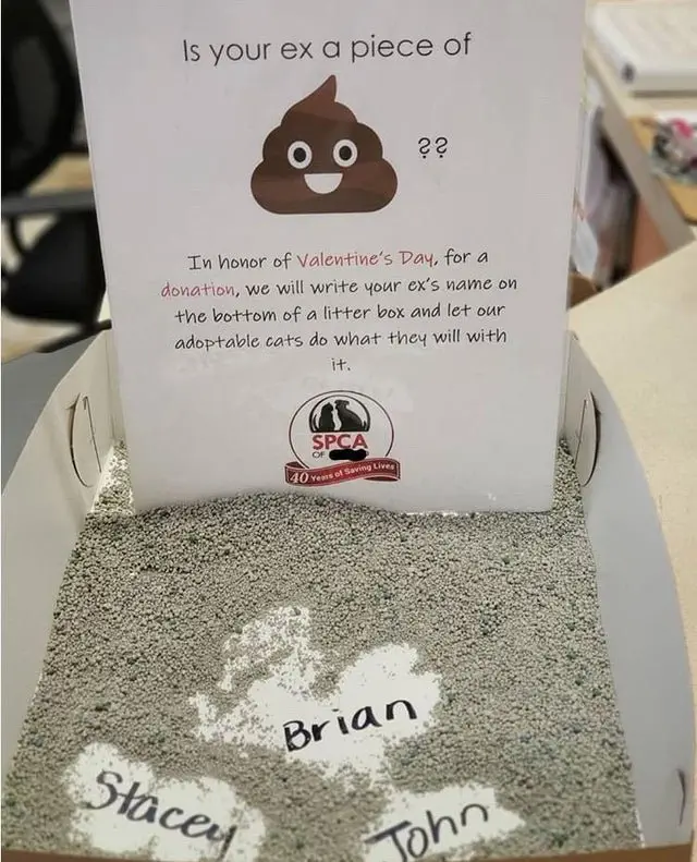 Image credit: Reddit | ItsNotAna
