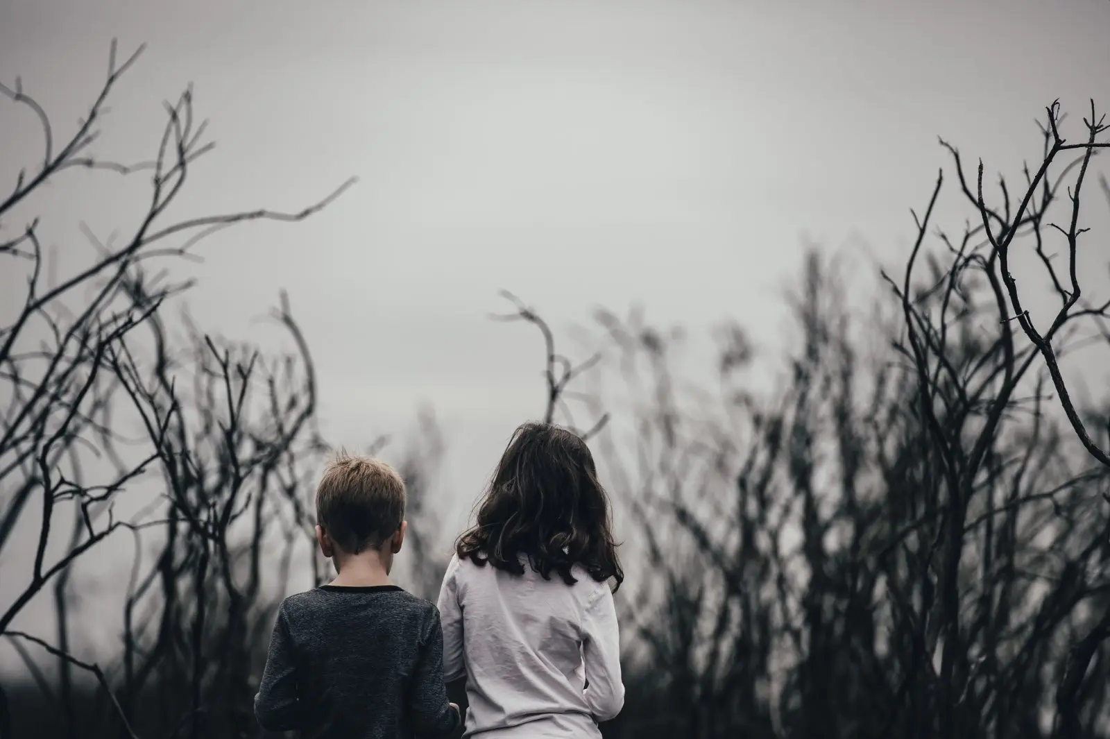 Image credit: Unsplash | Annie Spratt