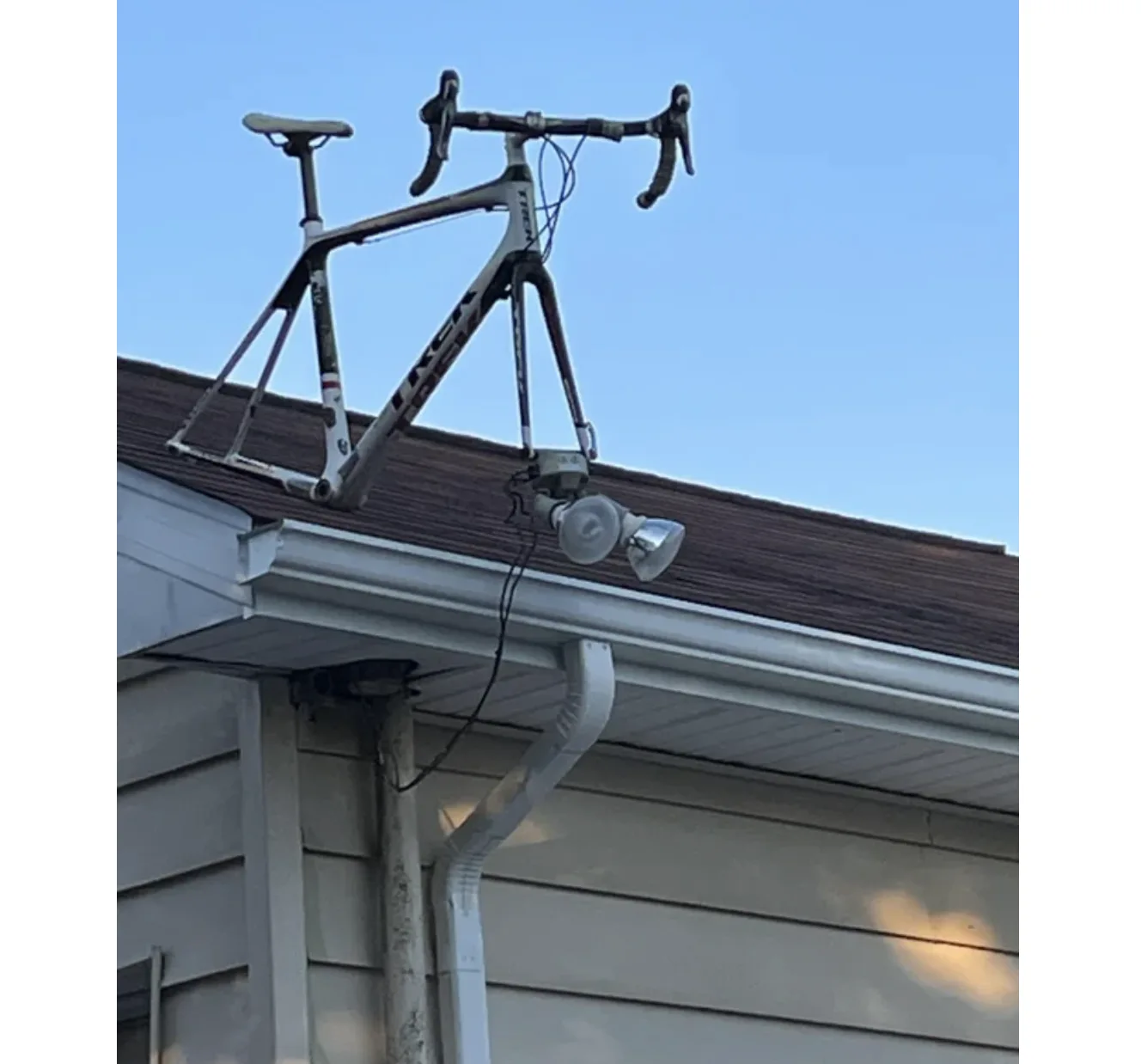 Image credit: Reddit | NeighborhoodNo8586