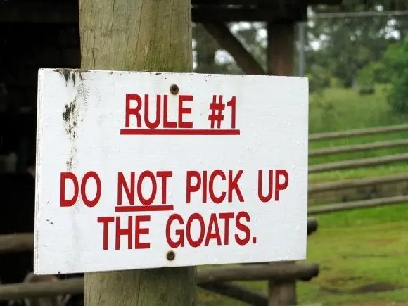 Image credit: Reddit | quitefunny
