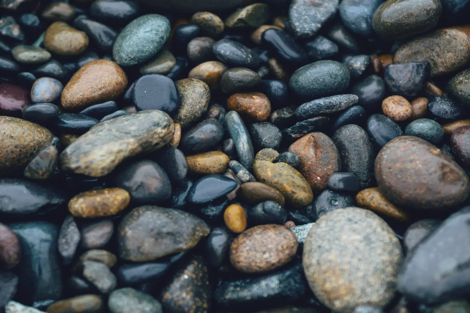Image credit: Unsplash | Wil Stewart