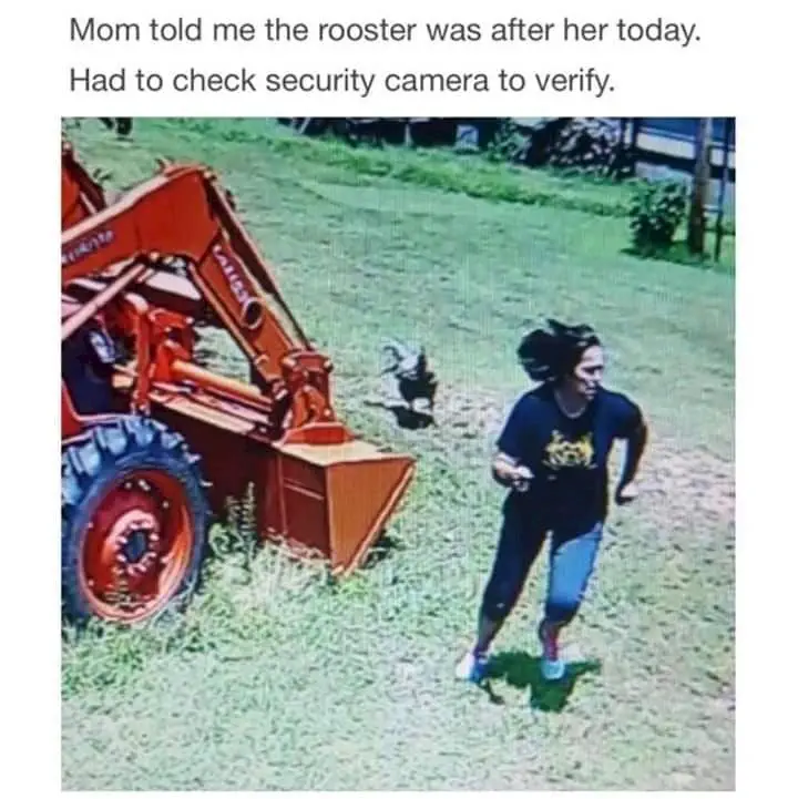 Image credit: Imgur | usuallyjustkidding