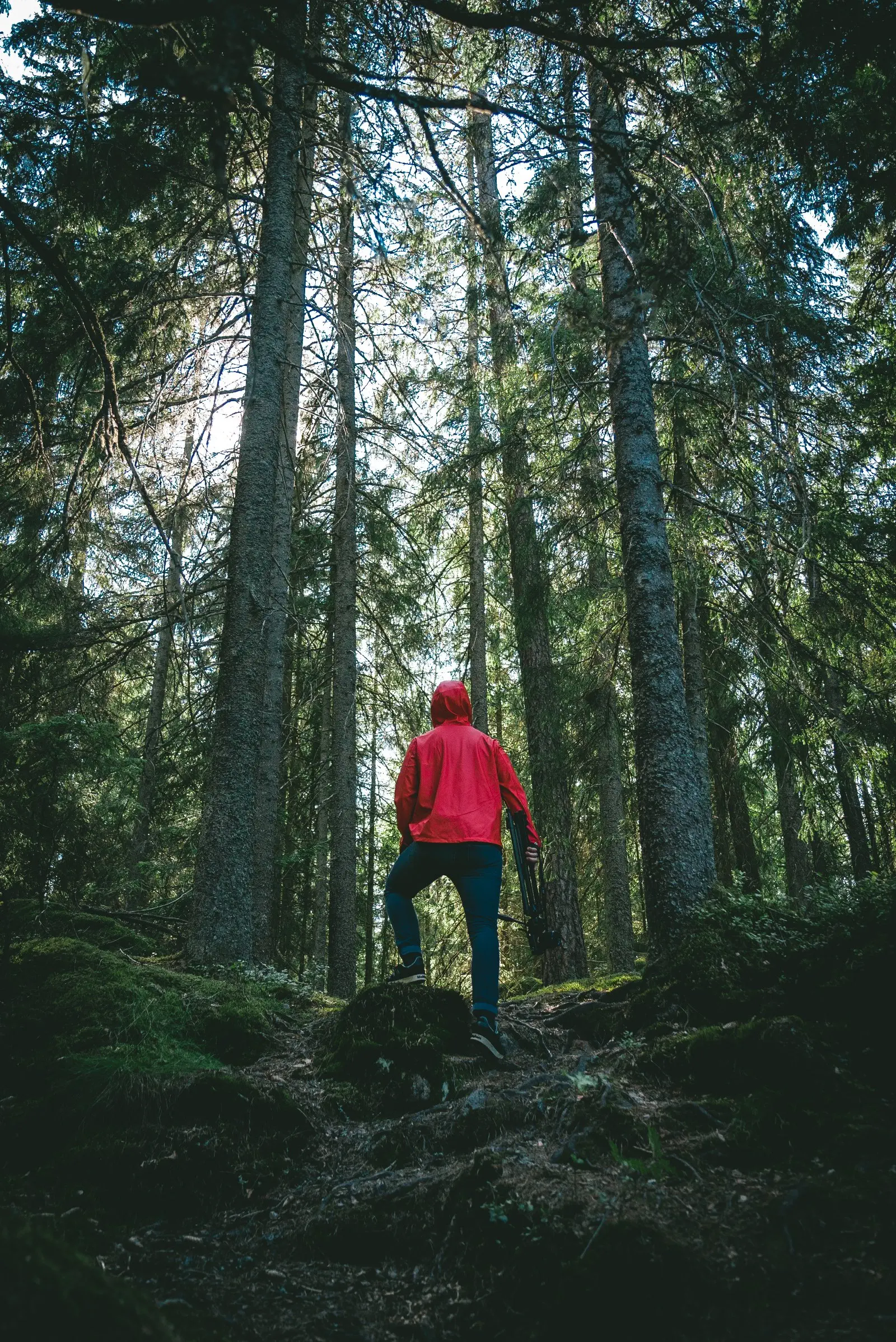 Image credit: Unsplash | Andreas Dress