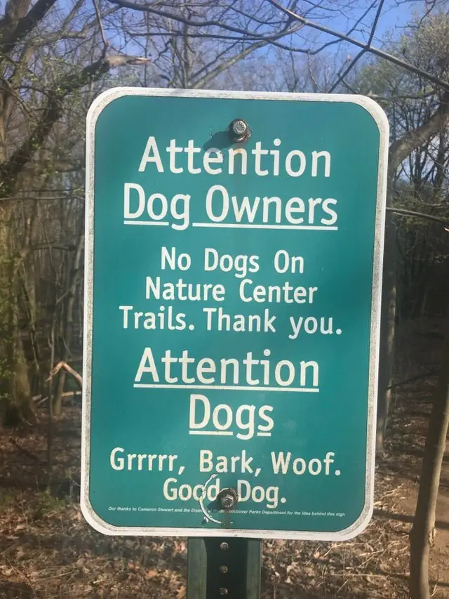Image credit: Reddit | crescueanimals