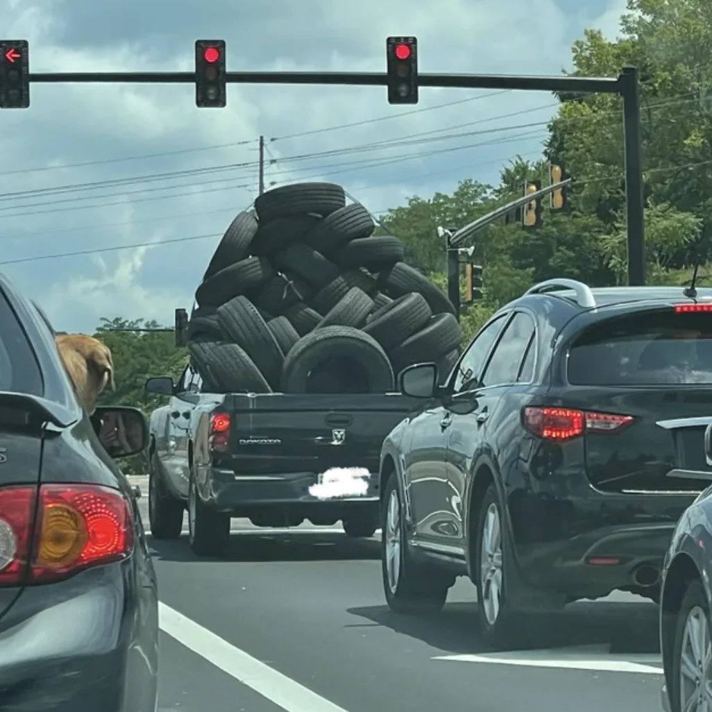 Image credit: Reddit | GatoDeSerio