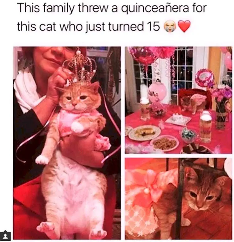 Image credit: Instagram | @girlsthinkimfunny