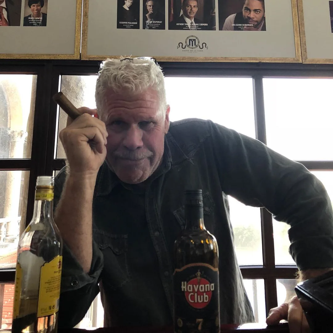 Image credit: Instagram | @perlmutations