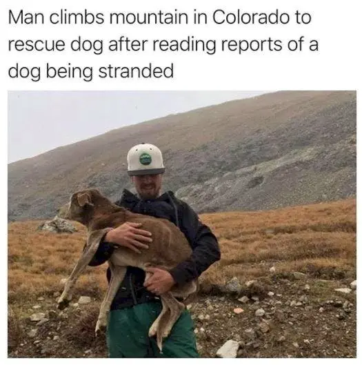 Image credit: Instagram | @tank.sinatra