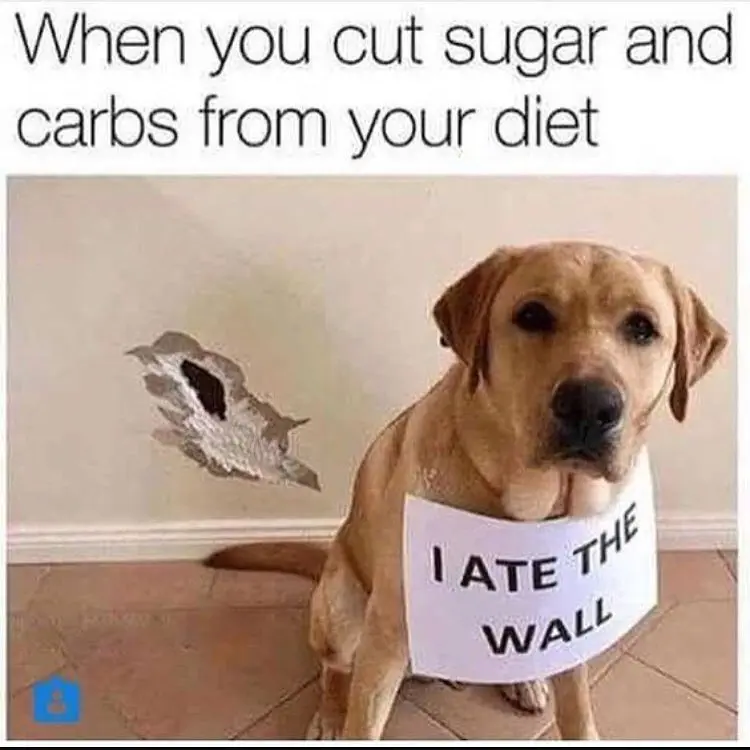 Image credit: Instagram | @fat2fitwcrossfit