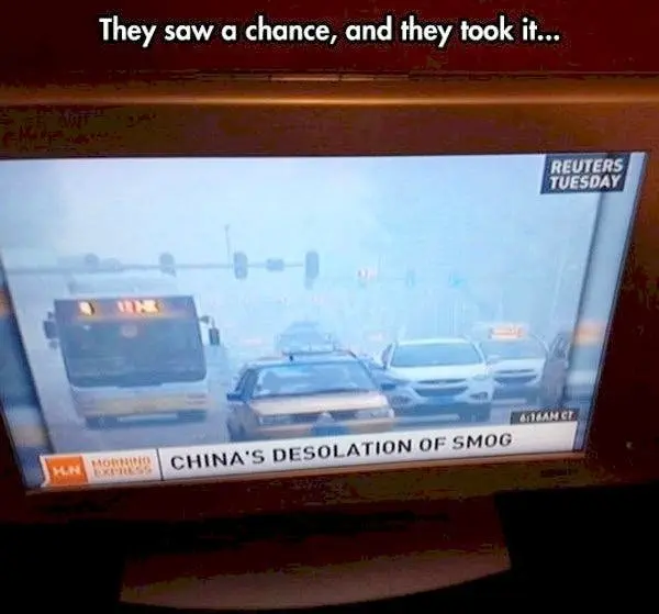 Image credit: The Chive | The Chive