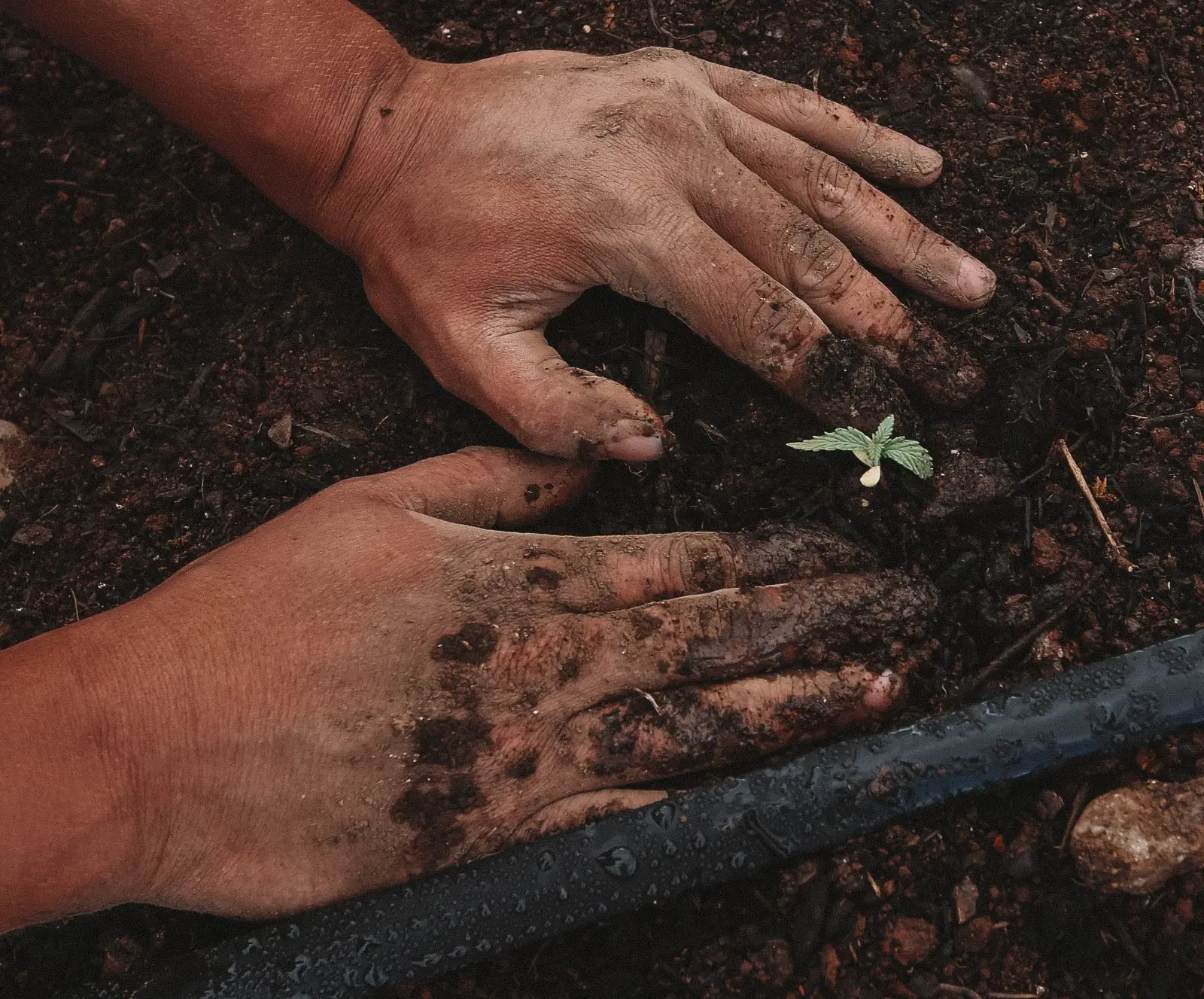 Image credit: Unsplash | GreenForce Staffing