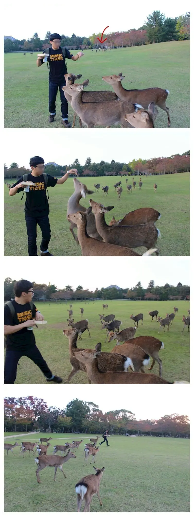 Image credit: Imgur | Allbobmyshelf