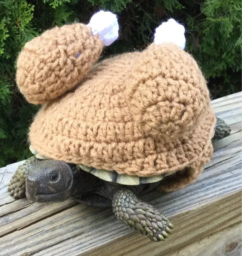 Image credit: Etsy | TurtleToppers