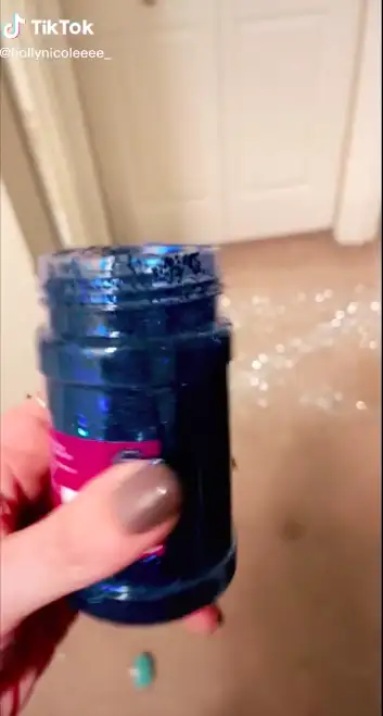 Image credit: TikTok | @hollynicoleeee_