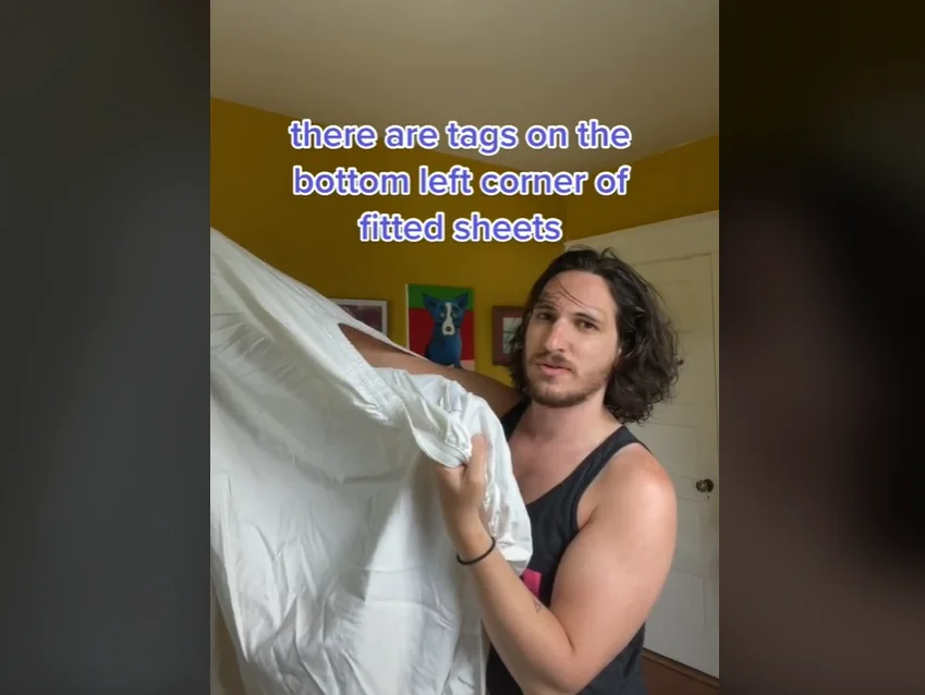Image credit: TikTok | @sydneyraz